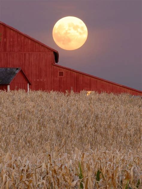 The harvest moon's connection to astrology